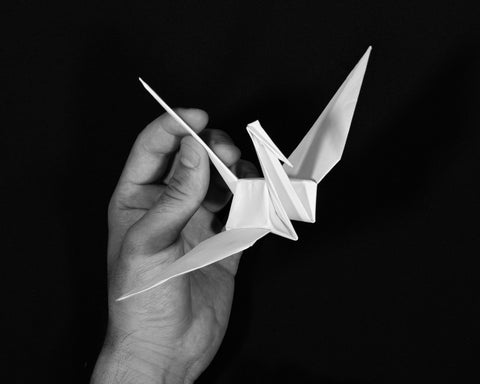 It all started with the Origami Crane...